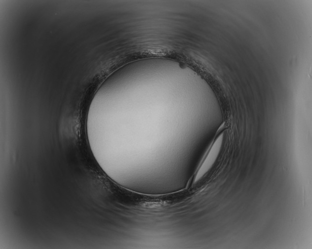 X0000088080595200705251410