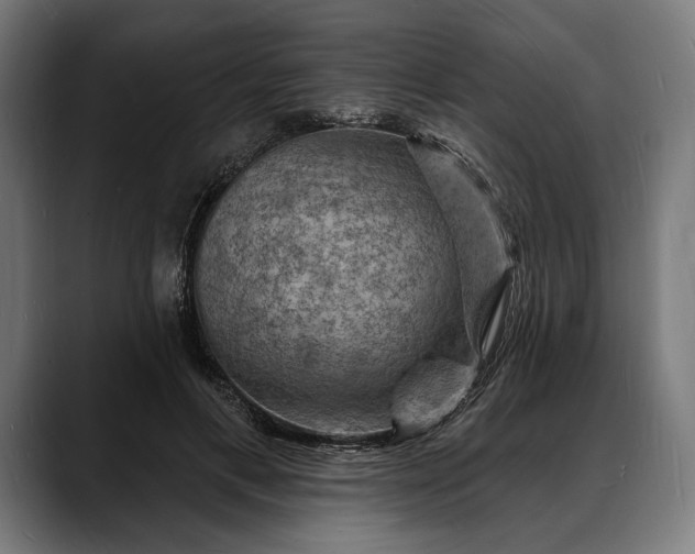 X0000088080597200705251410