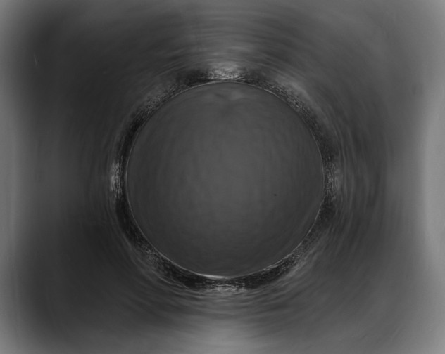 X0000088080598200705251410