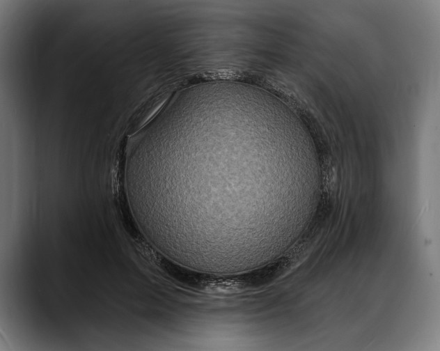 X0000088080599200705251410