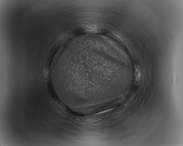 X0000088080601200705251410