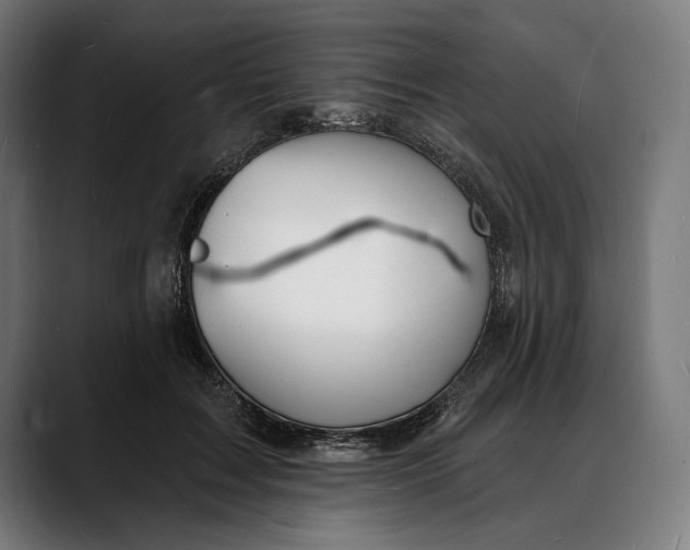 X0000088080603200705251410
