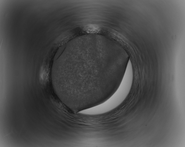 X0000088080604200705251410