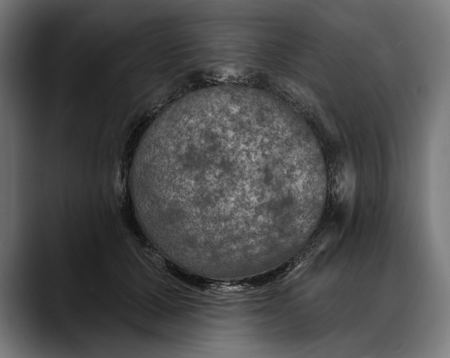 X0000088080607200705251410