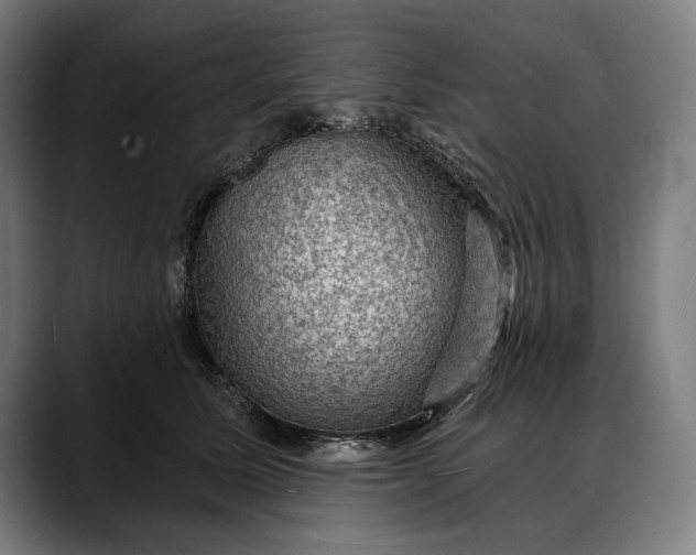 X0000088080611200705251410