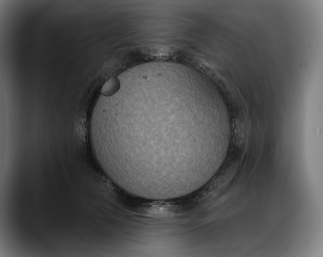 X0000088080612200705251410