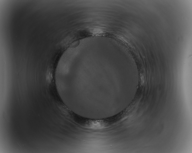 X0000088080618200705251409