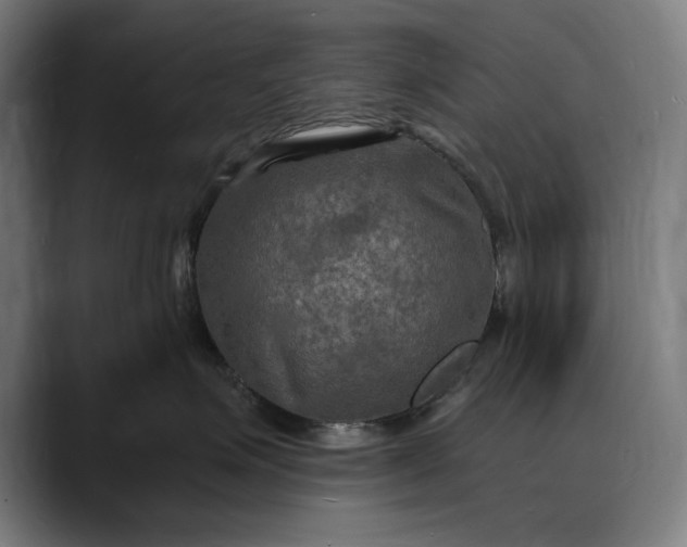 X0000088080623200705251409