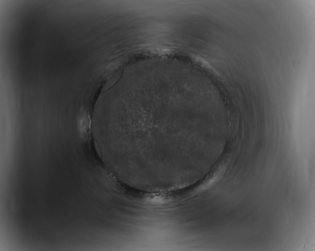 X0000088080624200705251409
