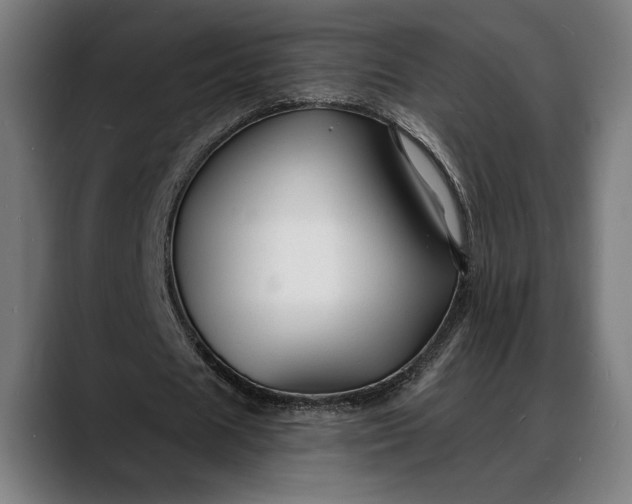 X0000088080625200705251409