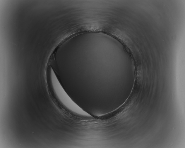 X0000088080626200705251409