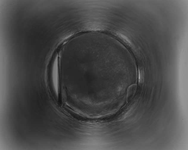 X0000088080627200705251409