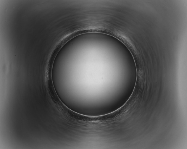 X0000088080628200705251409