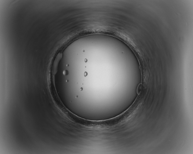 X0000088080629200705251409