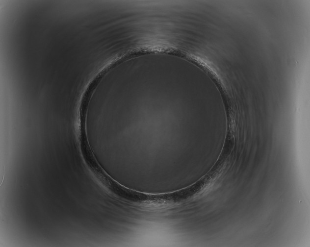 X0000088080630200705251409
