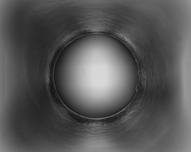 X0000088080631200705251409