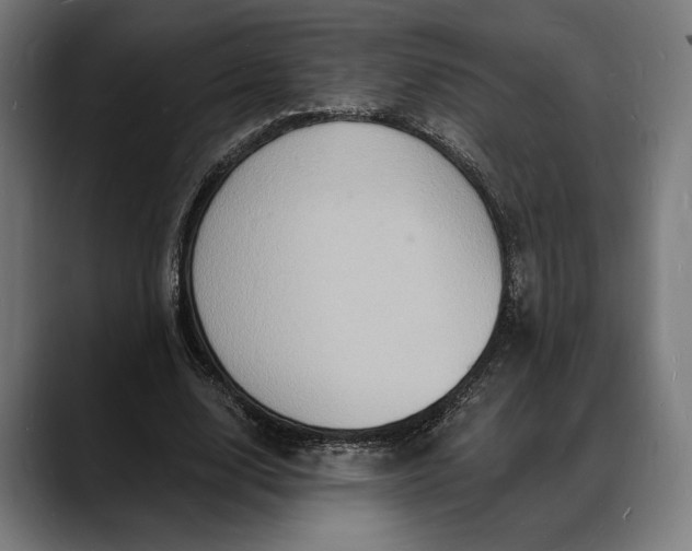 X0000088080632200705251409