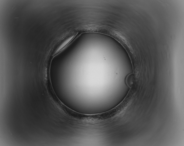 X0000088080633200705251409