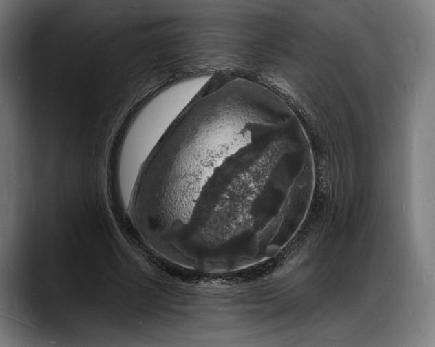 X0000088080634200705251409