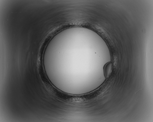 X0000088080636200705251409