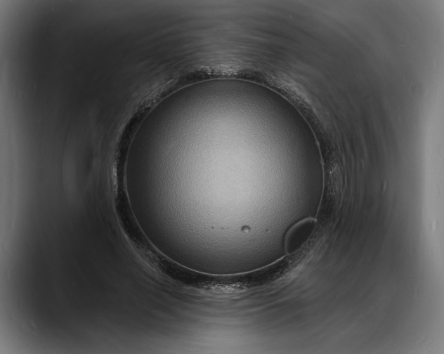 X0000088080638200705251409