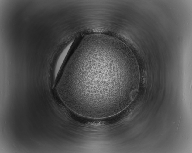 X0000088080639200705251409