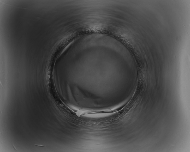 X0000088080640200705251409