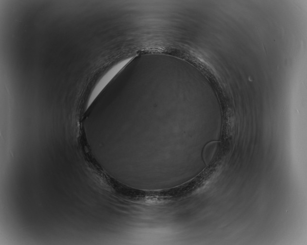 X0000088080641200705251409
