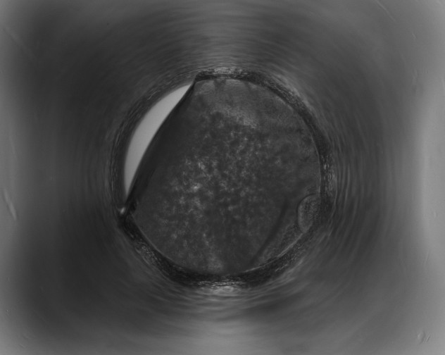 X0000088080643200705251409