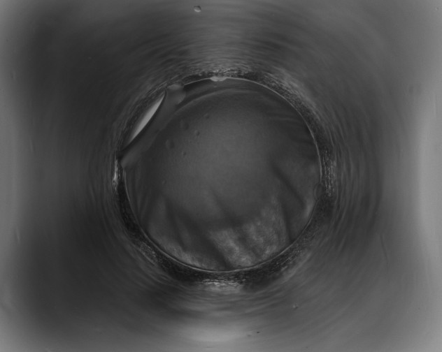 X0000088080644200705251409