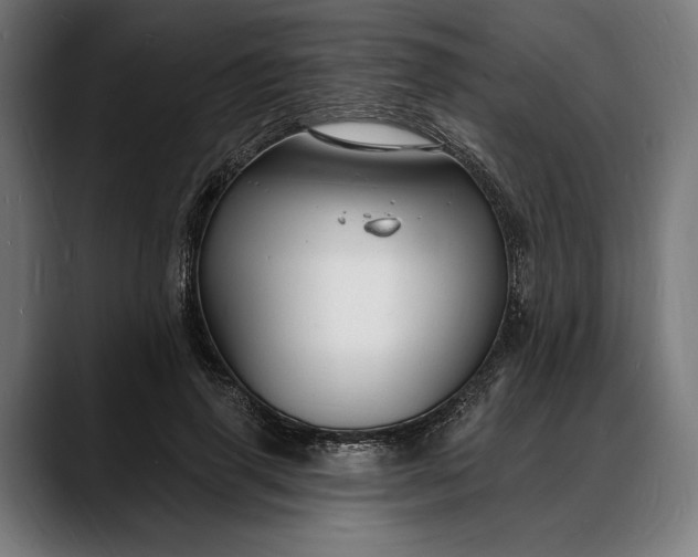 X0000088080645200705251409