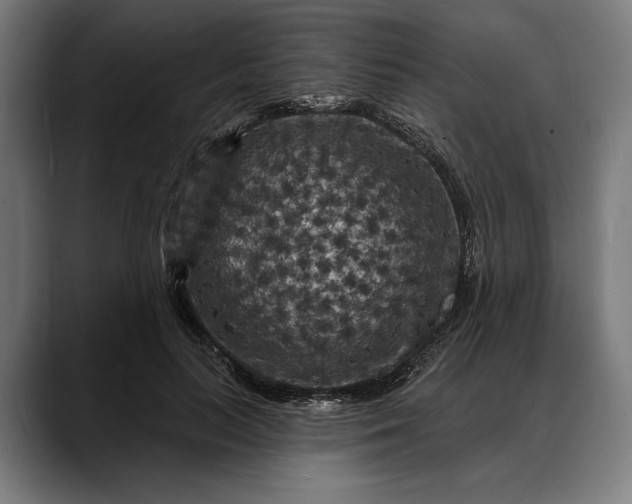 X0000088080647200705251409