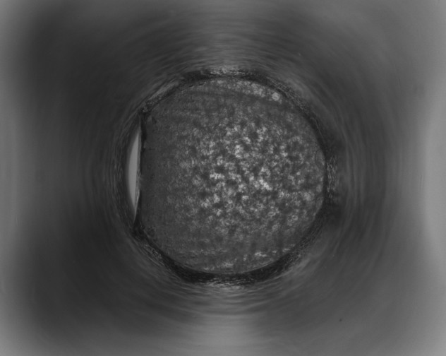 X0000088080648200705251409