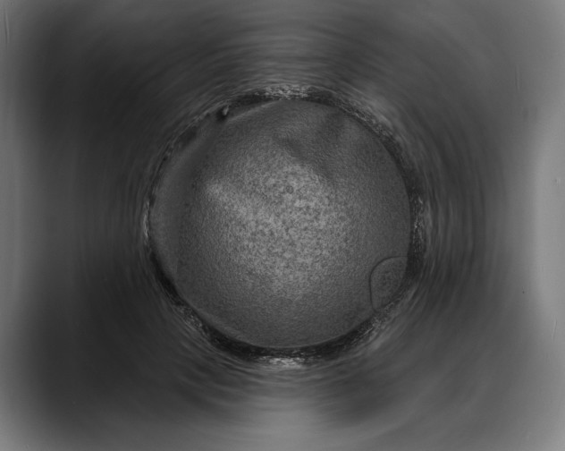 X0000088080649200705251409