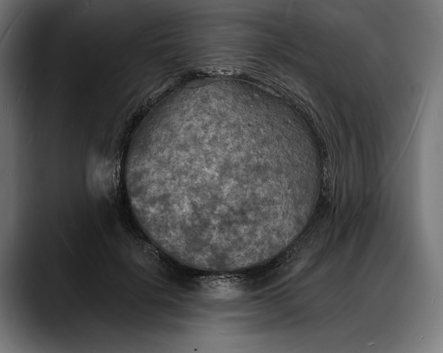 X0000088080652200705251409