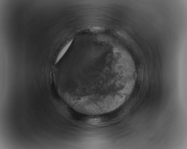 X0000088080653200705251409