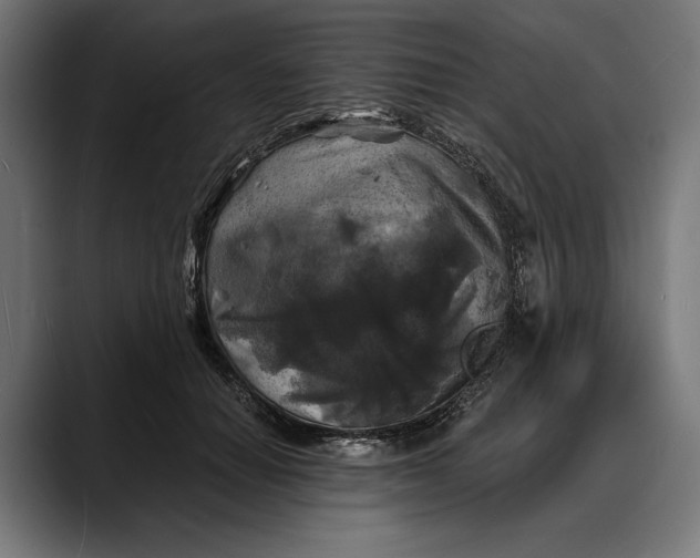 X0000088080654200705251409