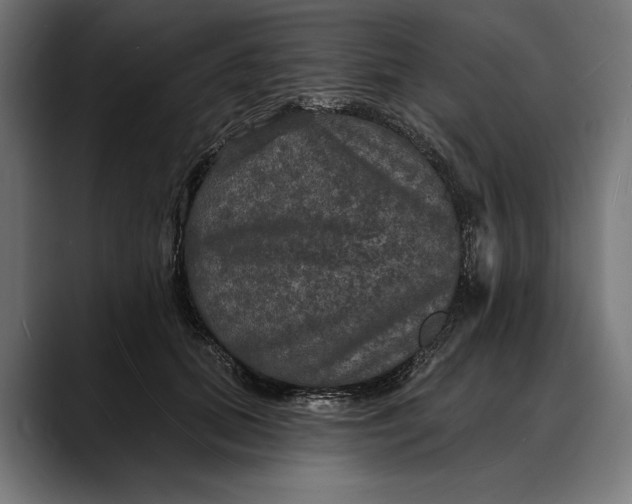 X0000088080655200705251409