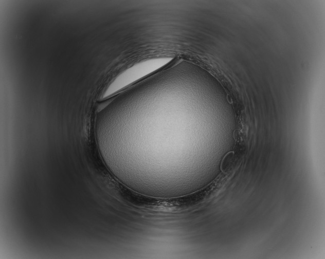 X0000088080656200705251409