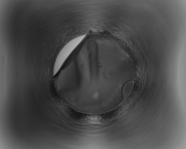 X0000088080659200705251409