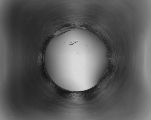 X0000088080660200705251409