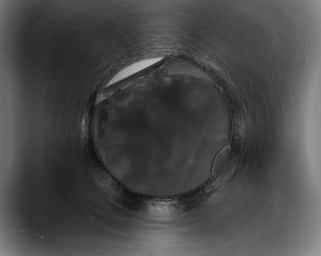 X0000088080661200705251409