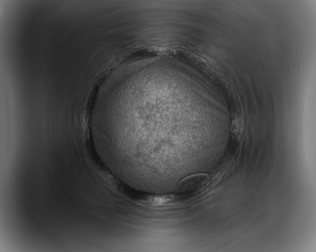 X0000088080662200705251409