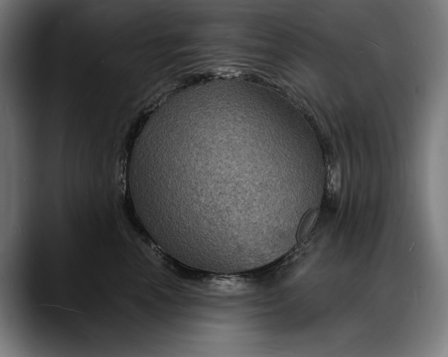 X0000088080666200705251409