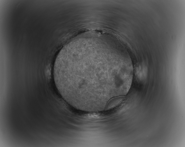 X0000088080668200705251409