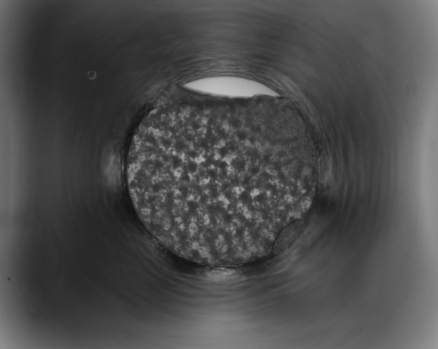 X0000088080669200705251409