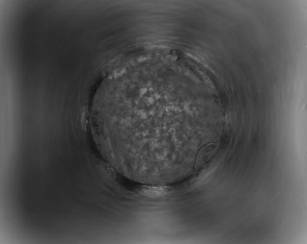 X0000088080671200705251409