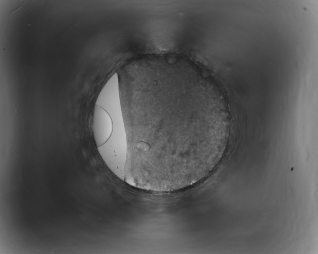 X0000088080672200705251409