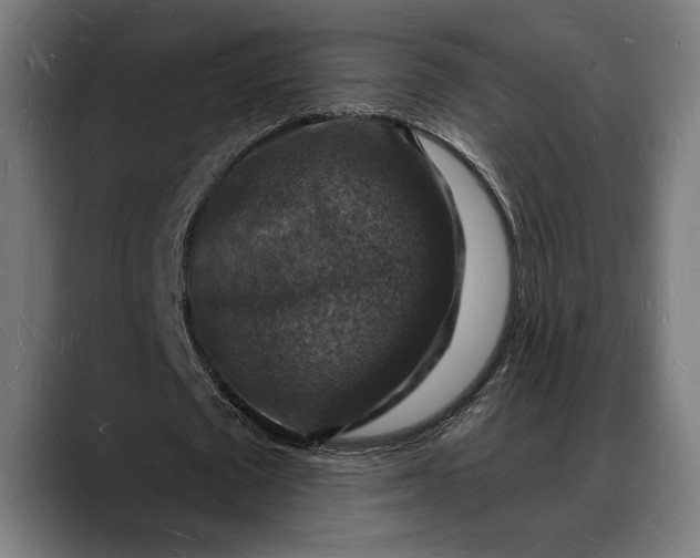 X0000088080673200705251409