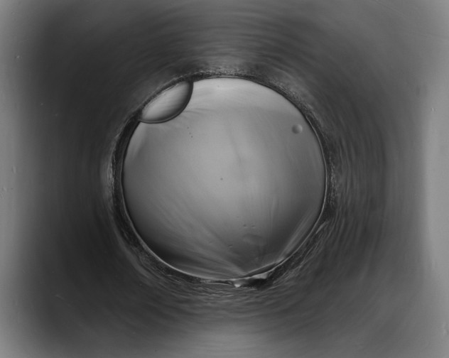 X0000088080674200705251409